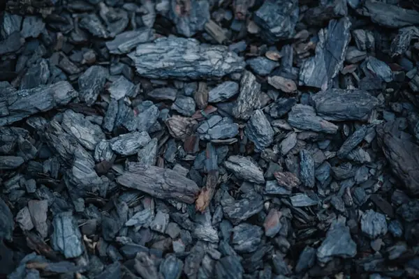 Coal